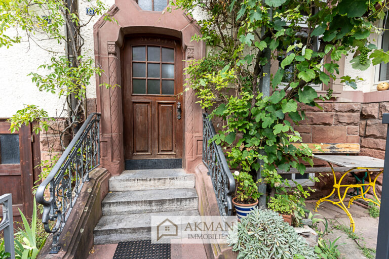 41 | Hauseingangstür